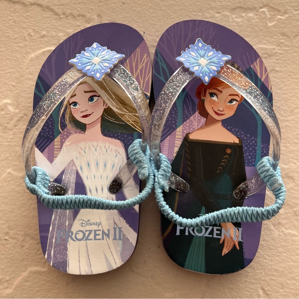 Frozen flip flops
